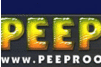 Screenshot of Peep Room
