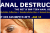 Screenshot of Anal Destruction