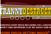 Screenshot of Tranny Destruction
