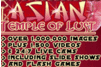 Screenshot of Asian Temple Of Lust