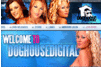 Screenshot of Dog House Digital