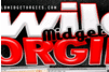 Screenshot of Wild Midget Orgies