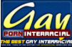 Screenshot of Gay Porn Interracial