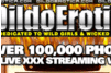 Screenshot of Dildo Erotica