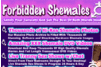 Screenshot of Forbidden Shemales