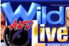 Screenshot of Wild And Live