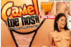Screenshot of Camel Toe Hos