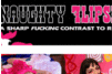 Screenshot of Naughty Flipside