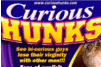 Screenshot of Curious Hunks