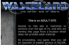 Screenshot of Wasteland