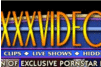 Screenshot of XXX Videoplex