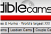 Screenshot of Incredible Cams