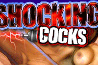 Screenshot of Shocking Cocks