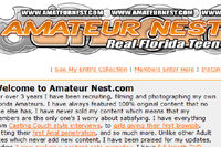 Screenshot of Amateur Nest
