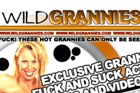 Screenshot of Wild Grannies