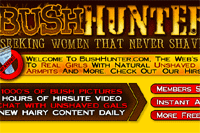 Screenshot of Bush Hunter