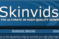 Screenshot of Skin Vids