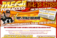 Screenshot of Mega Porn Access