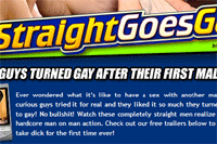 Screenshot of Straight Goes Gay