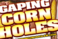 Screenshot of Gaping Cornholes