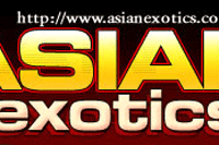 Screenshot of Asian Exotics