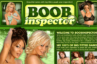 Screenshot of Boob Inspector
