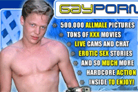 Screenshot of Gay Porn Feeds