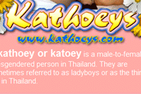 Screenshot of Kathoeys