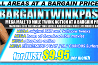 Screenshot of Bargain Twink Pass