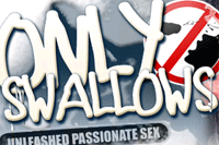 Screenshot of Only Swallows