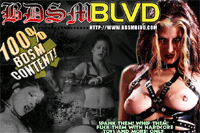 Screenshot of Bdsm Blvd