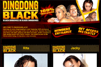 Screenshot of Ding Dong Black