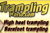 Screenshot of Trampling World