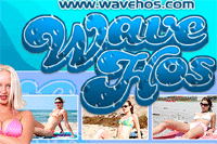 Screenshot of Wave Hos
