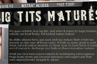 Screenshot of Big Tits Matures