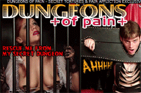 Screenshot of Dungeons Of Pain