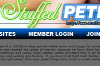 Screenshot of Stuffed Petite