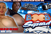 Screenshot of Boob Squad