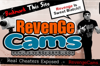 Screenshot of Revenge Cams