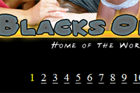 Screenshot of Blacks On Blondes