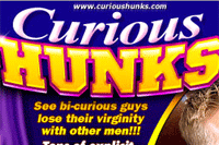 Screenshot of Curious Hunks
