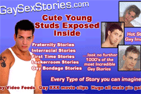 Screenshot of Gay Sex Stories