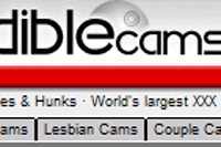 Screenshot of Incredible Cams