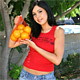 Horny Spanish Flies gallery thumbnail